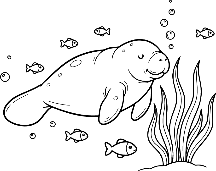 manatee sea grass fish underwater