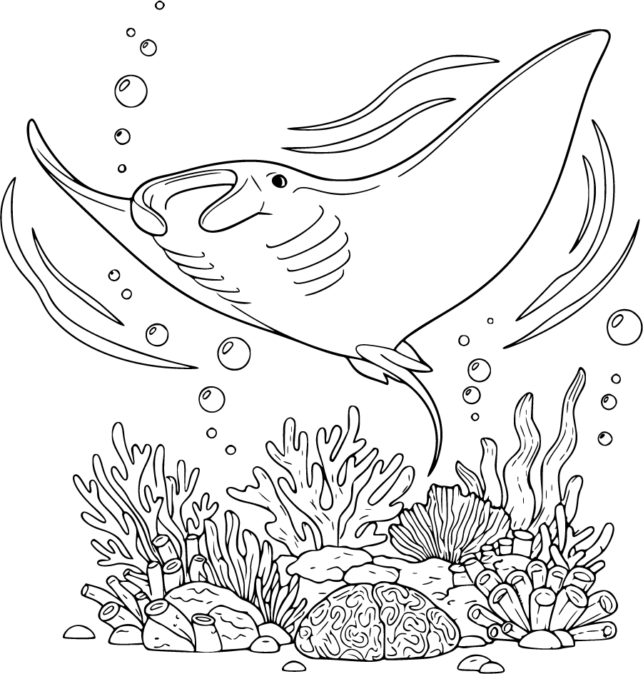 manta ray ocean bubbles coral reef