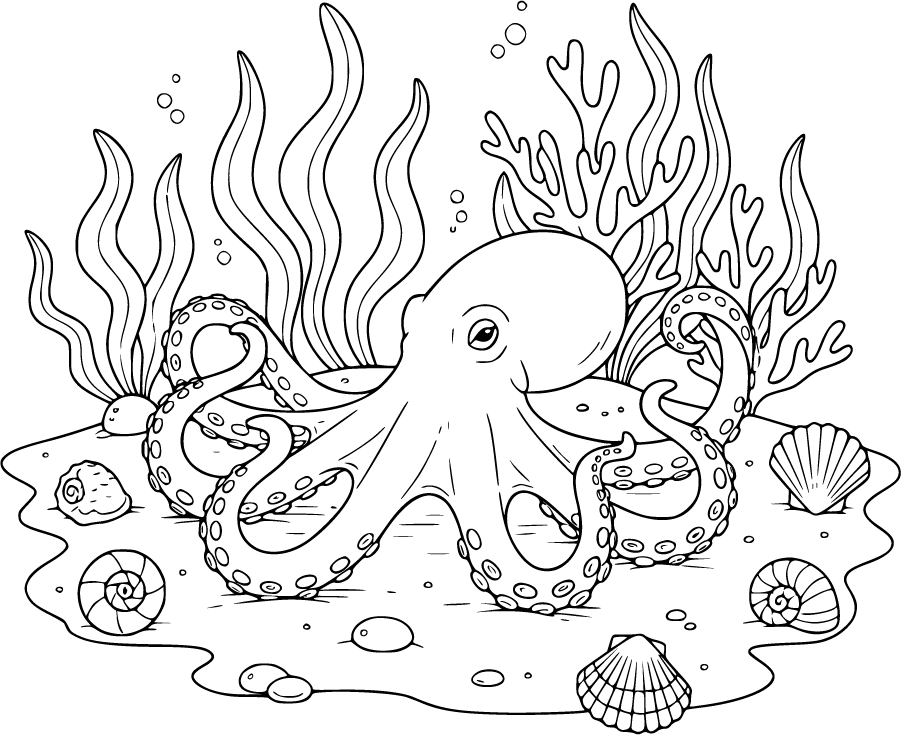 octopus ocean floor seashells seaweed