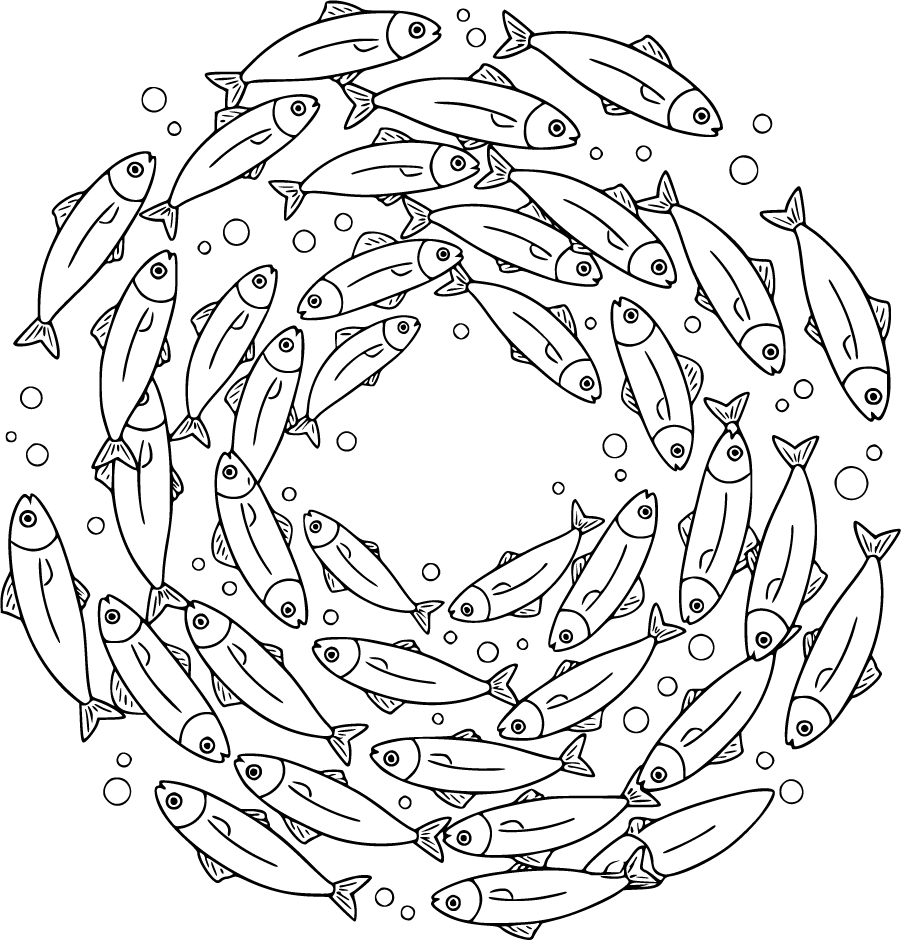 sardines swimming underwater formation