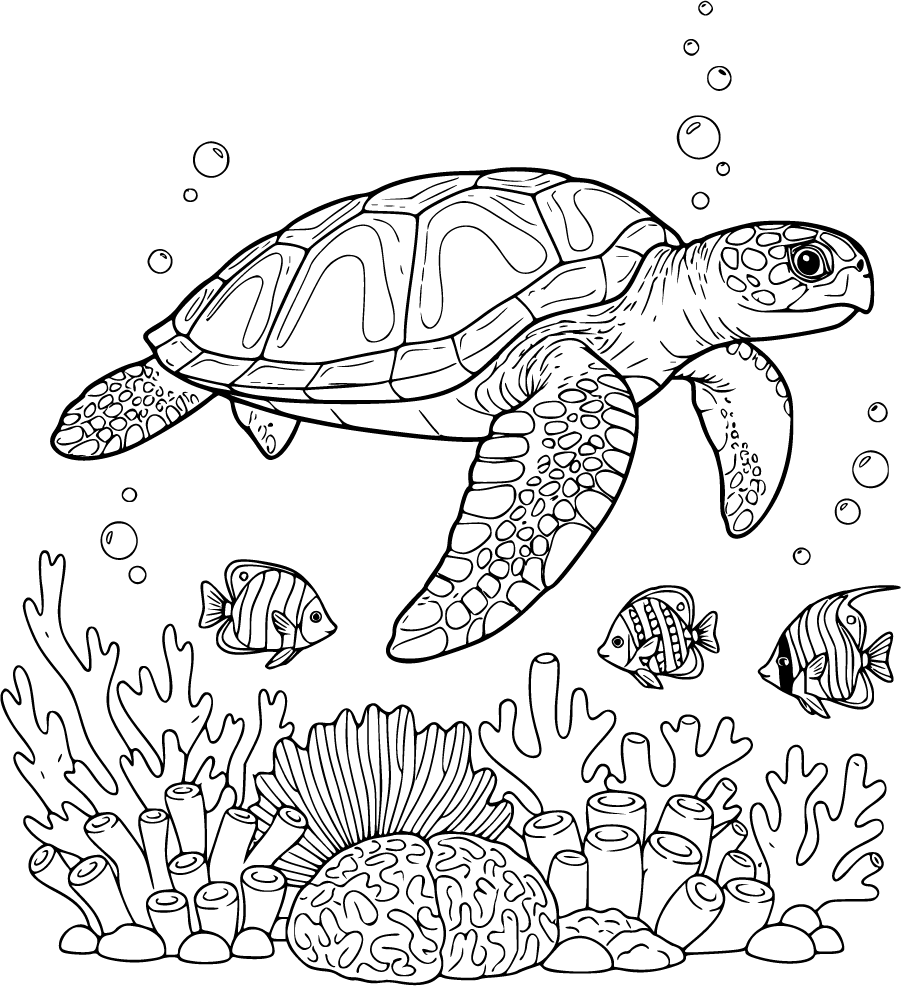 sea turtle coral reef tropical fish