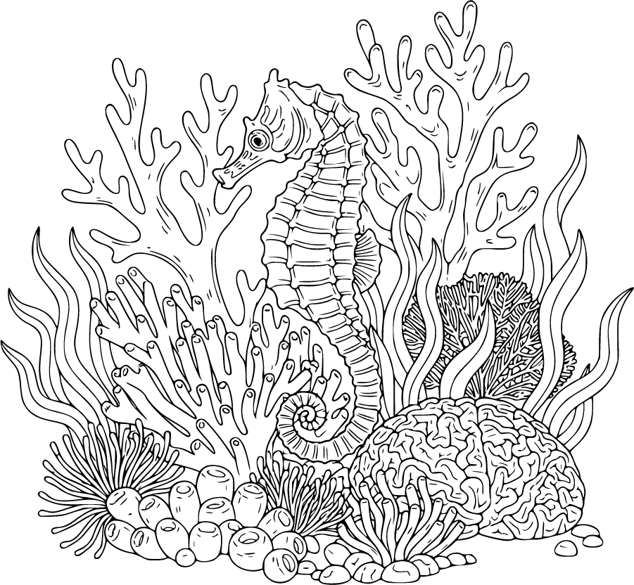 seahorse coral underwater plants