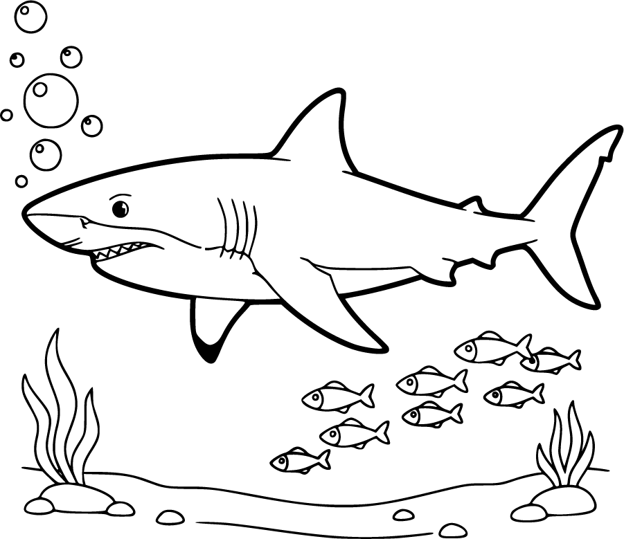 shark deep ocean bubbles fish