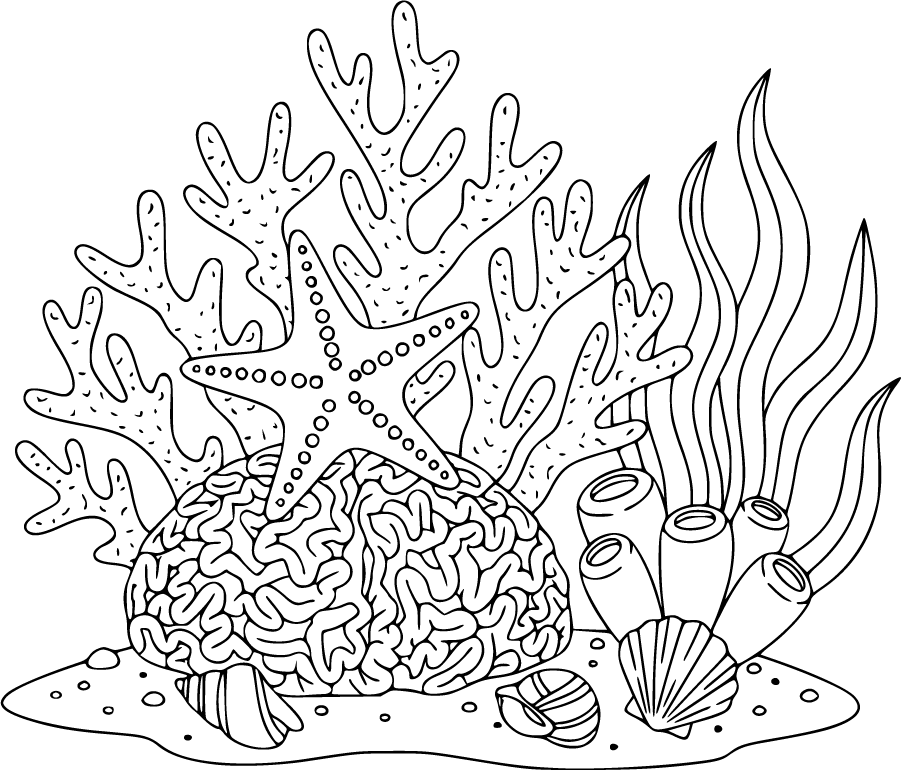 starfish coral shells ocean plants