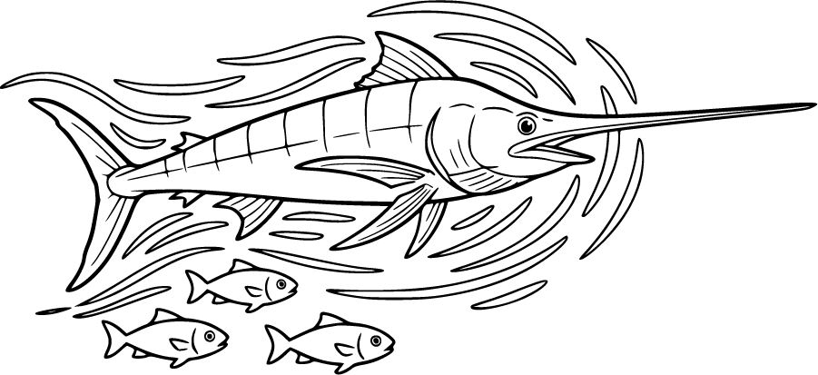swordfish ocean currents fish
