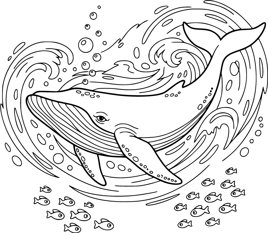 whale underwater bubbles fish coloring page