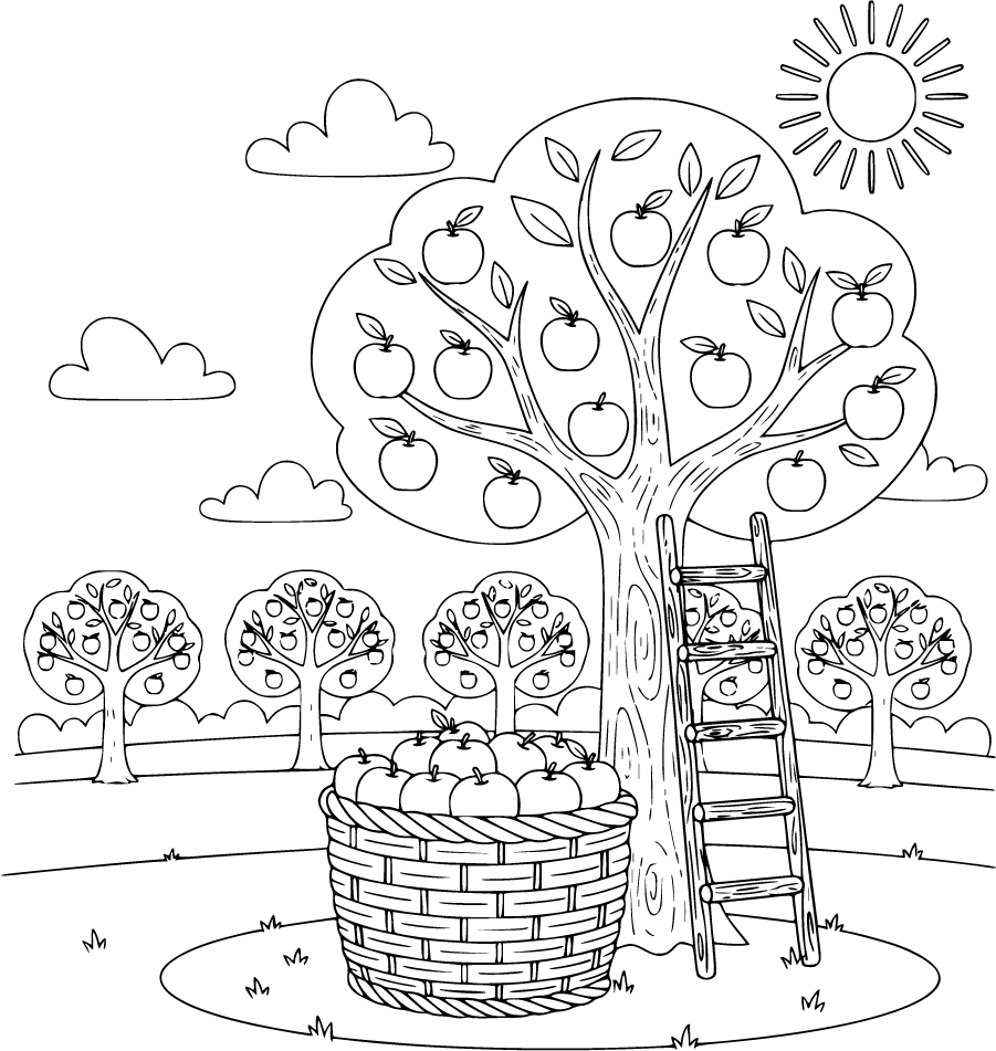 Apple Basket Orchard Ladder