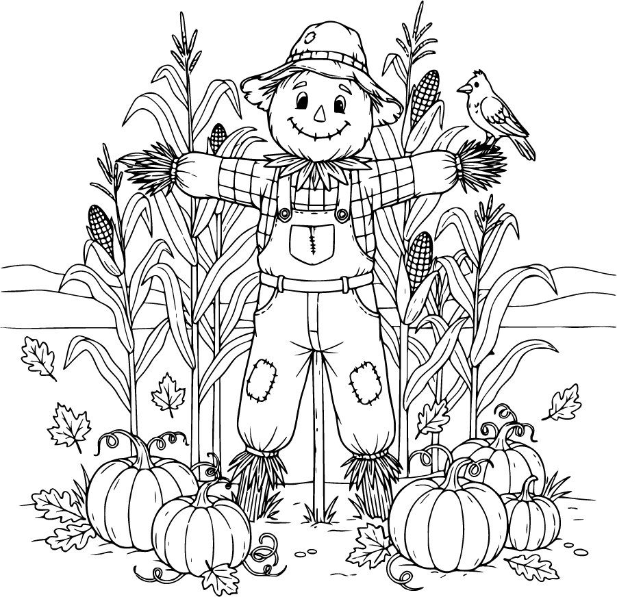 Scarecrow Cornfield Pumpkins Autumn Leaves