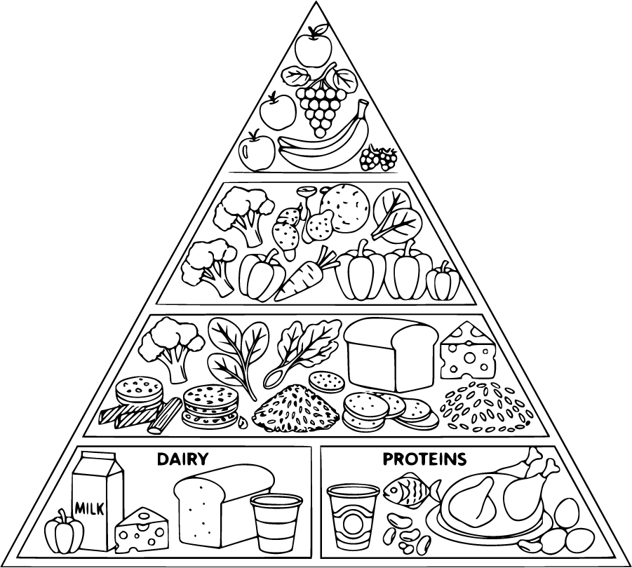 healthy food groups arrangement