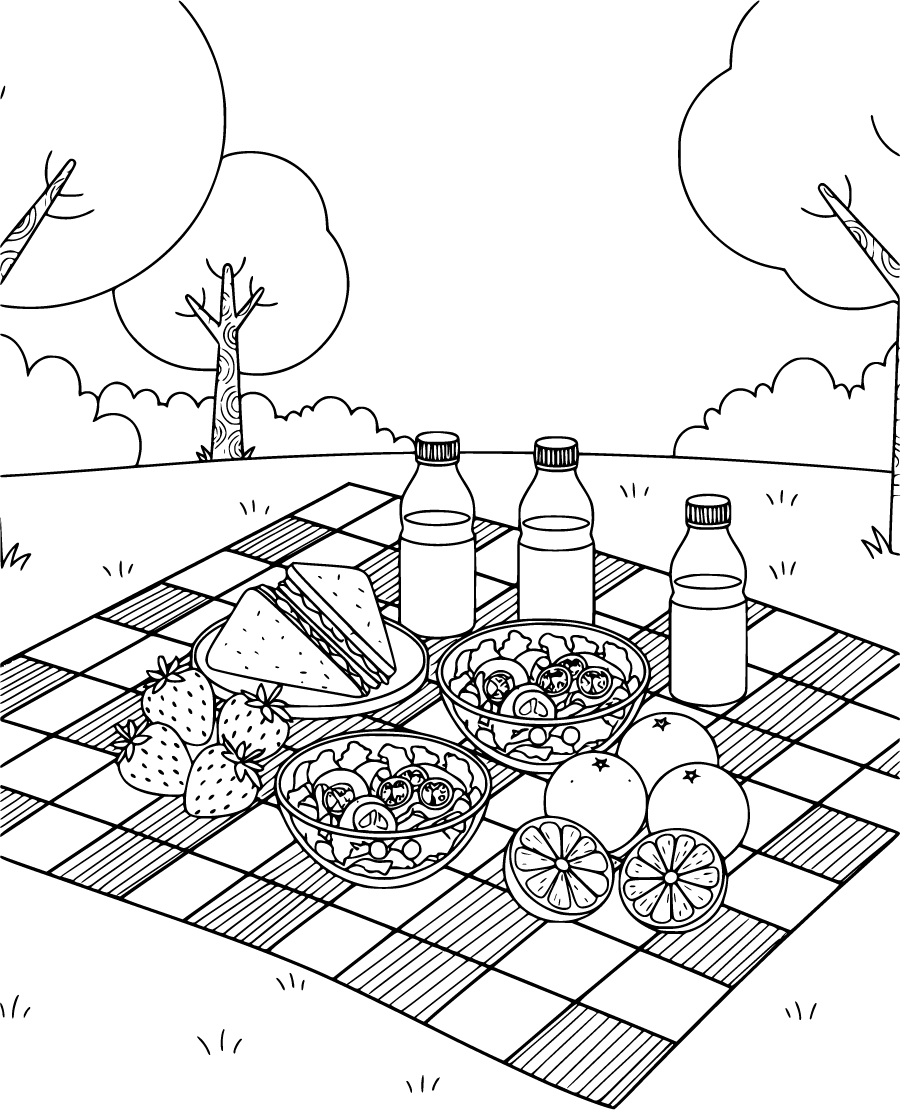 healthy food picnic spread