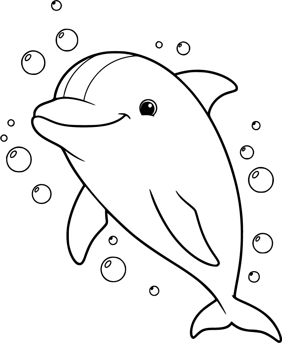 Close Up Of Smiling Dolphin With Bubbles