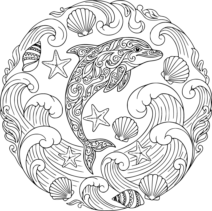 Decorative Dolphin Surrounded By Seashells And Ocean Patterns