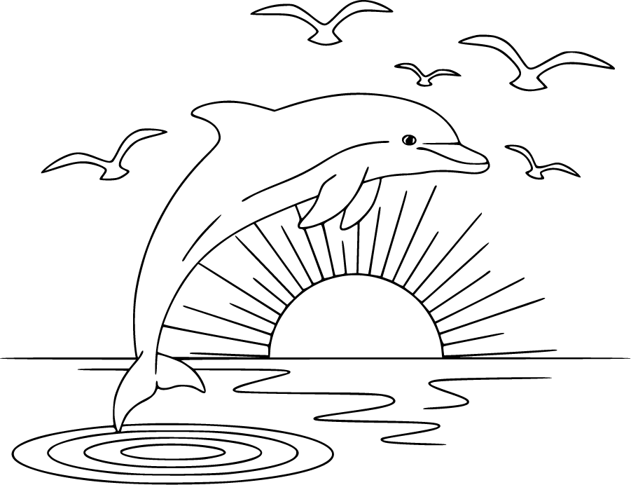 Dolphin Jumping At Sunset With Seabirds
