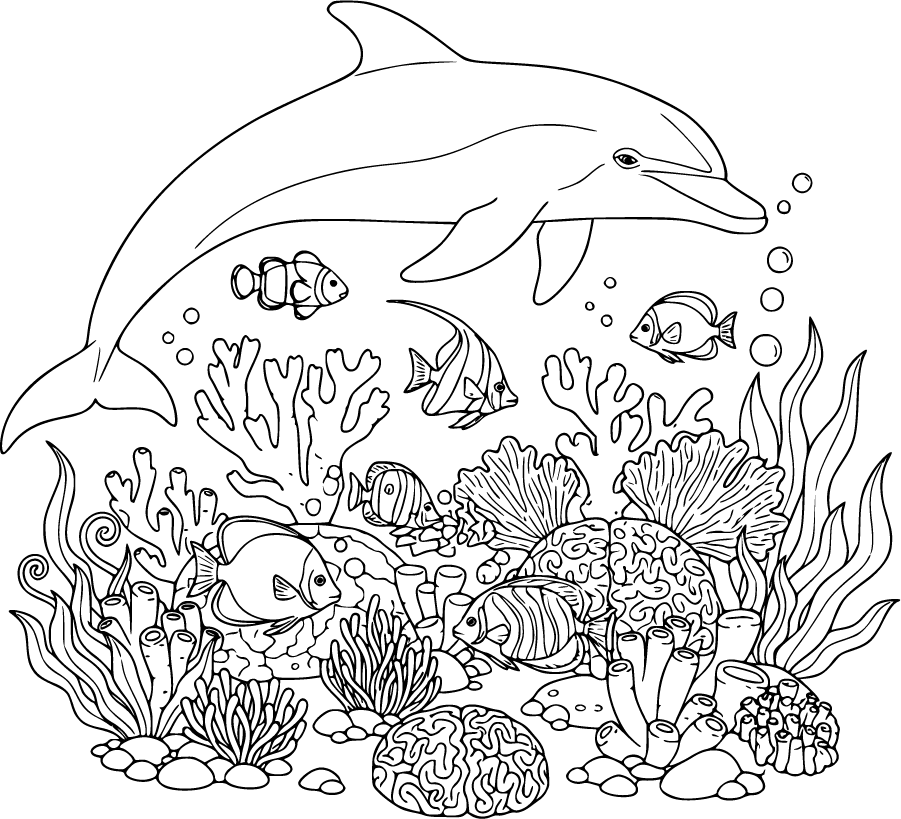 Dolphin Swimming Through Coral Reef With Tropical Fish