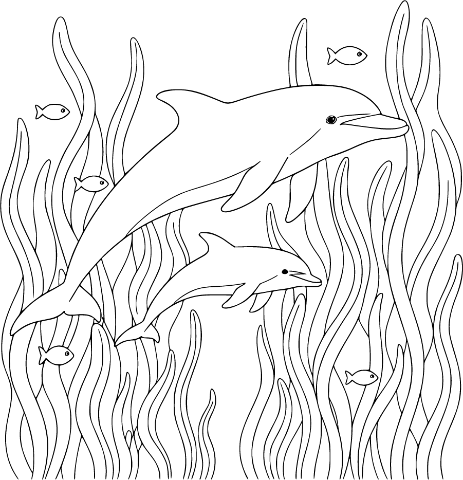 Mother Dolphin With Two Babies In Kelp Forest