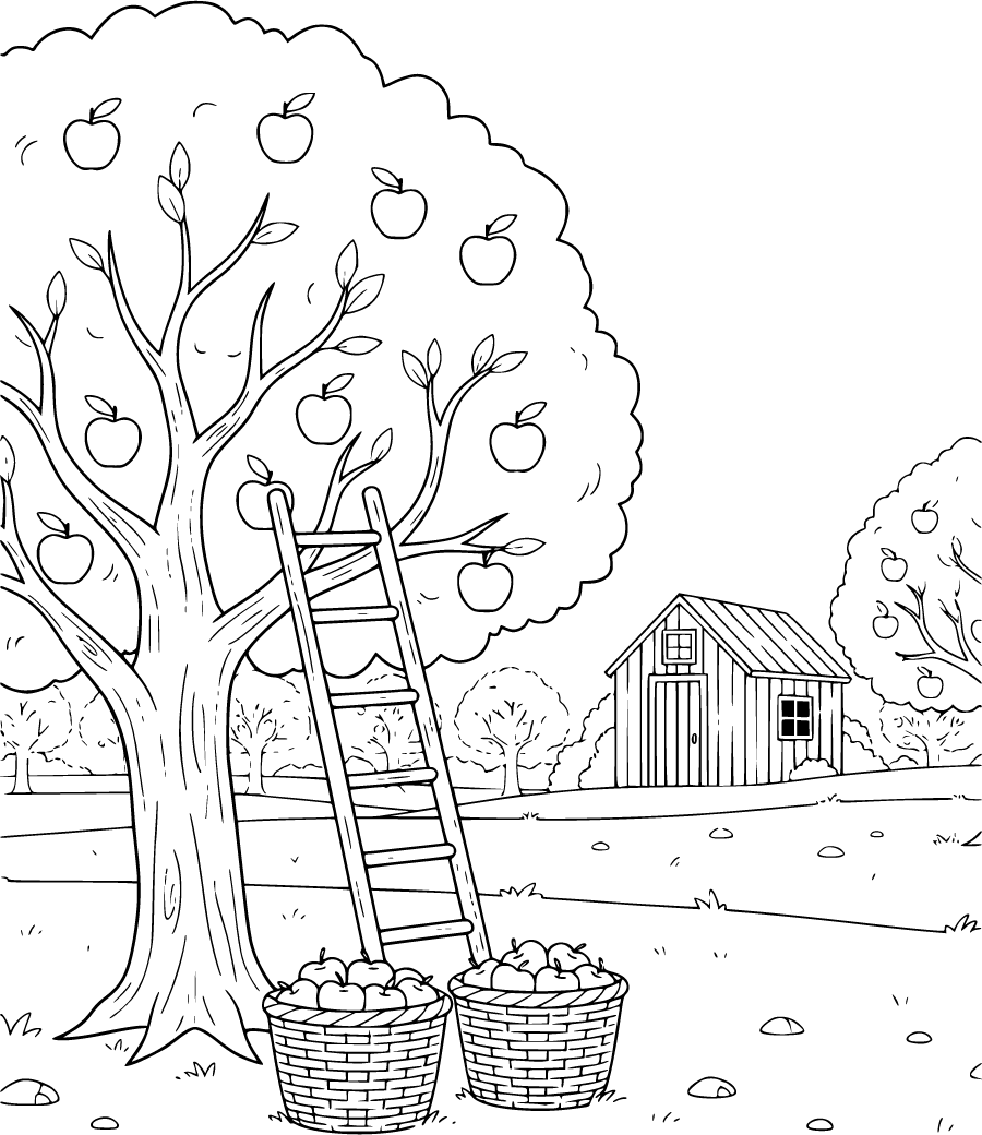 farming orchard apple baskets ladder shed