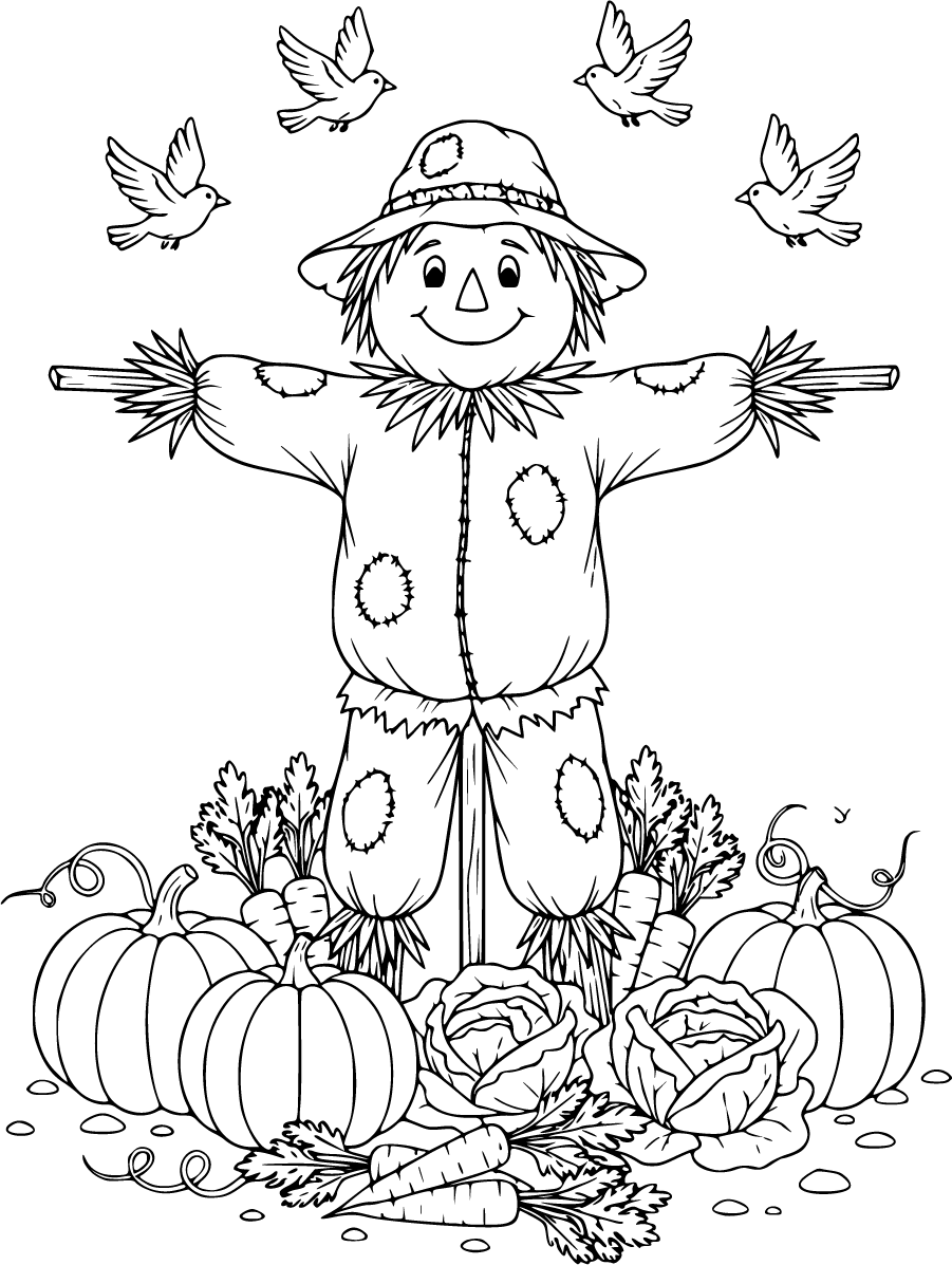 farming scarecrow vegetable garden birds