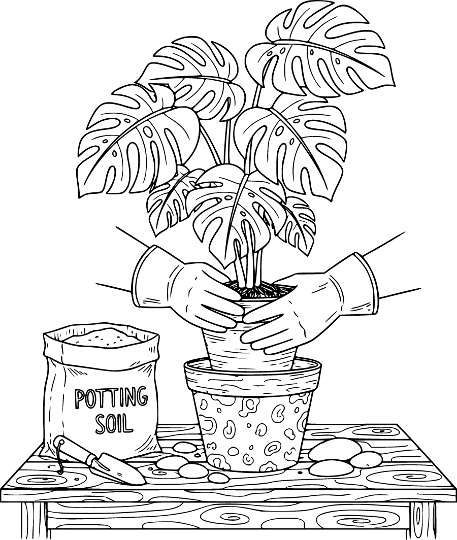 gardening hands repotting houseplant