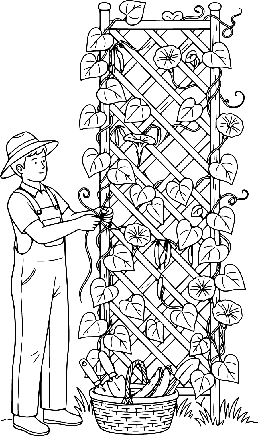 gardening with trellis climbing plants and basket
