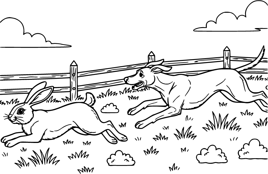 hunting dog chasing rabbit in field