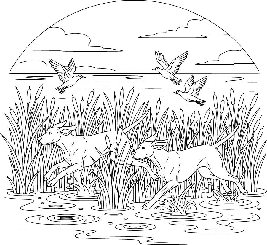 hunting dogs in marsh reeds