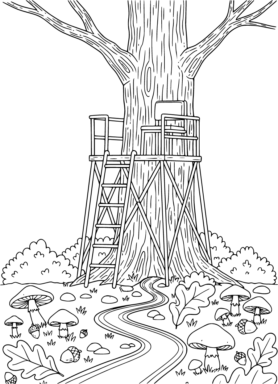 hunting tree stand in oak tree
